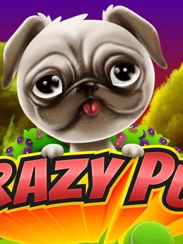 Crazy Pug
